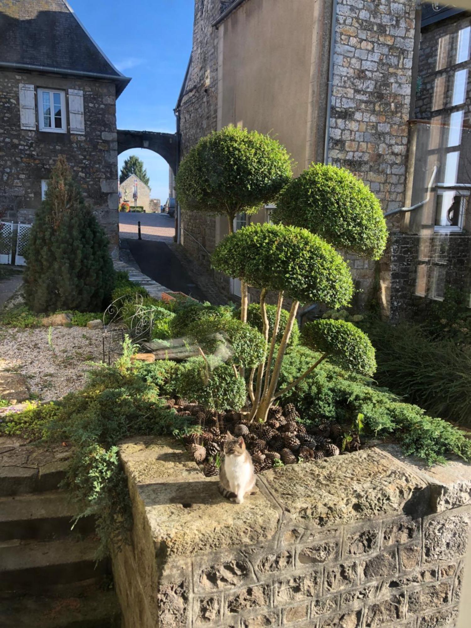 La Maison Sur Les Remparts Domfront  Ngoại thất bức ảnh
